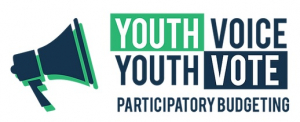 Youth Voice, Youth Vote Logo