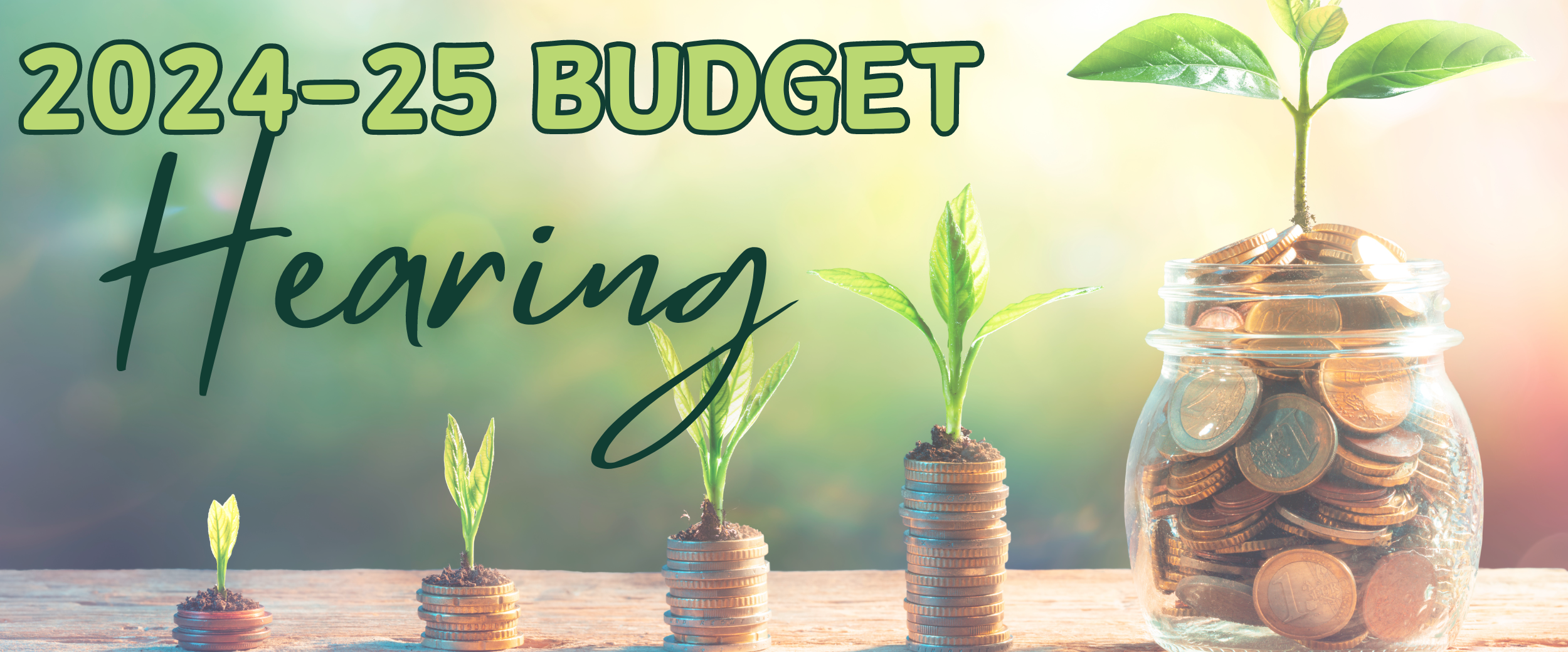 Budget Hearing