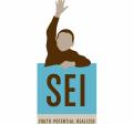 SEI Logo