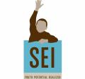 SEI Logo