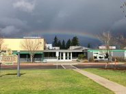 Davis Dragon