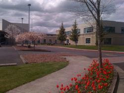 Walt Morey Middle School