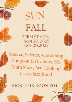 SUN FALL FLYER
