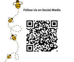 Social Media QR