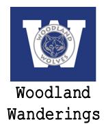 Woodland Wanderings Newsletter Image