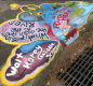  Stormdrain Mural