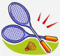 Badminton Pic