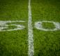 50yd line