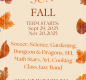 SUN FALL FLYER