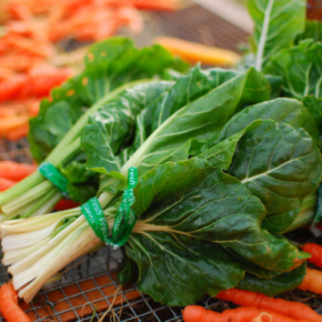 HarvestShare
