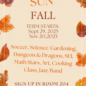 SUN FALL FLYER