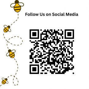 Social Media QR